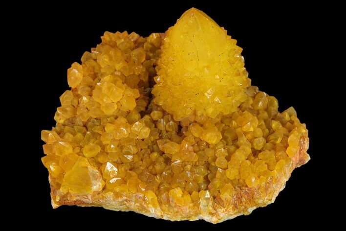 Sunshine Cactus Quartz Crystal Cluster - South Africa #132883